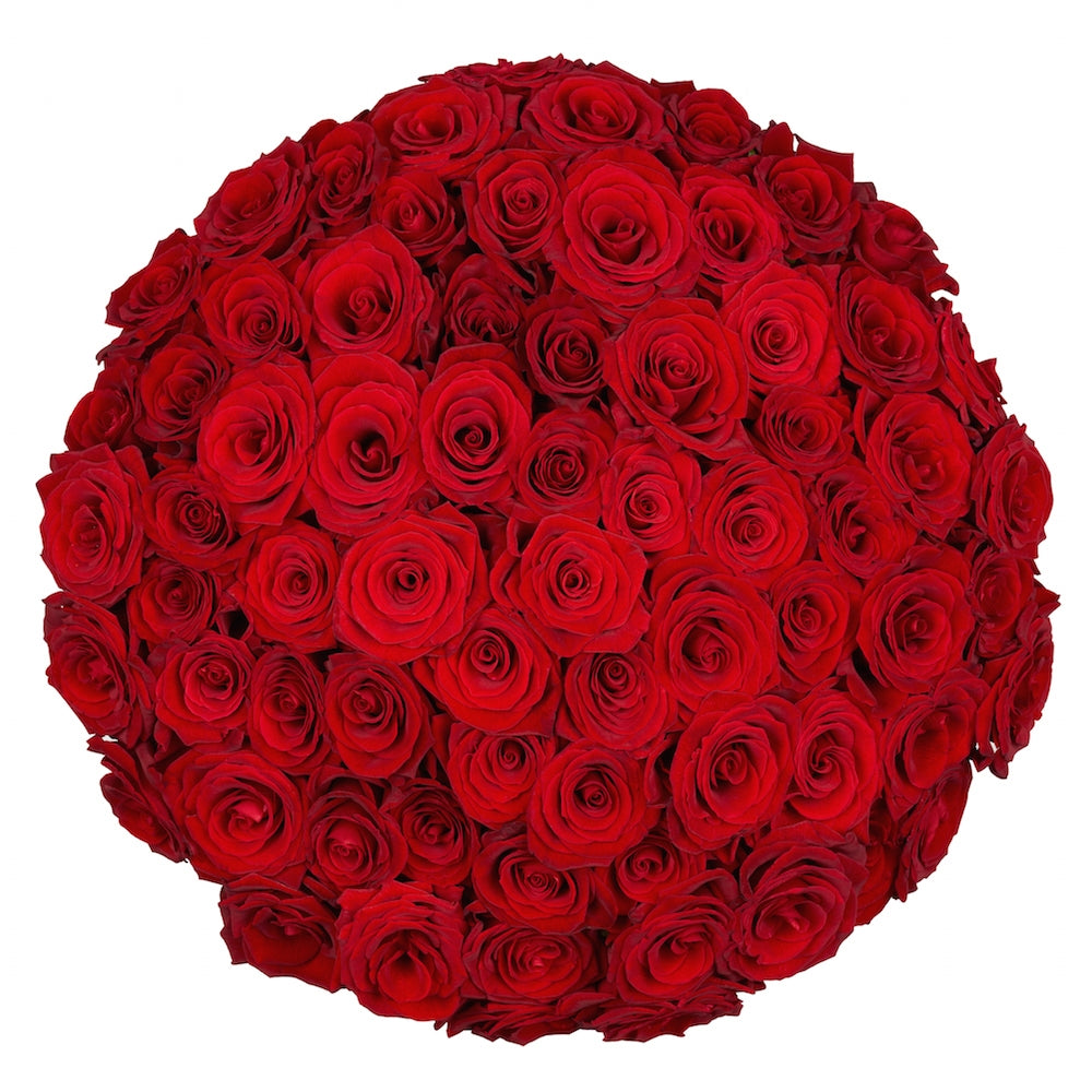 Bulk Red Roses