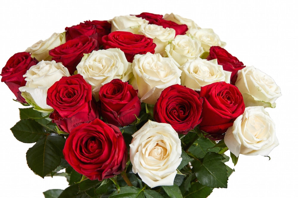 red and white roses bouquet