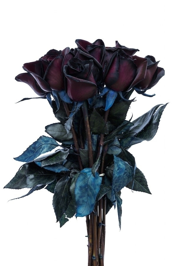 Black Roses