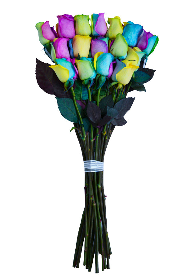 Rainbow Roses