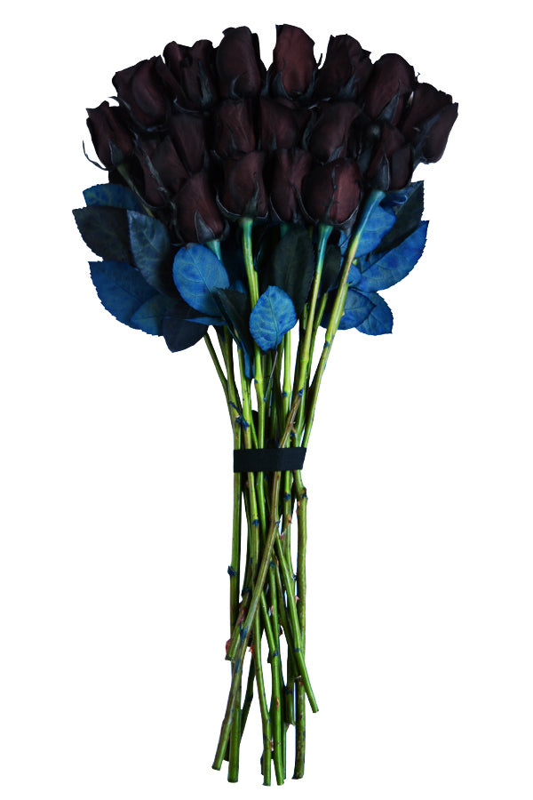 Fresh Black Rose Stems